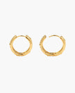 Serenade of Orchid Hoops